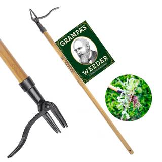 Grampa's Weeder Original Stand Up Weed Puller Tool with Bamboo Long Handle | 4-Claw Steel Head • Weeding Tool 