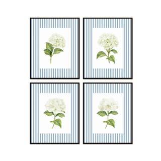Botanical Wall Art Botanical Prints, 8X10 SET OF 4, Unframed | Botanical Prints - Smooth Matte Paper - Archiva