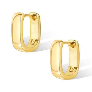 Small Chunky Silver Hoop Earrings for Women Small Gold Hoop Earrings | Hypoallergenic Earrings Small Thick Hug