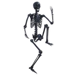 5.4FT/165cm Skeleton Life Size Full Body, 5FT Posable Halloween Skeleton Decor, Life Body Anatomy Model, Lifel