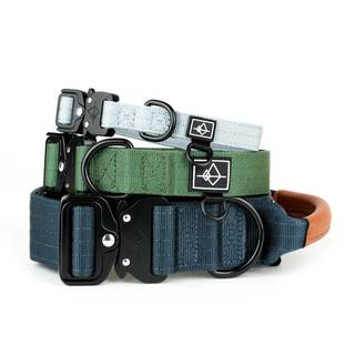20 Amazon Preppy Pet Drop